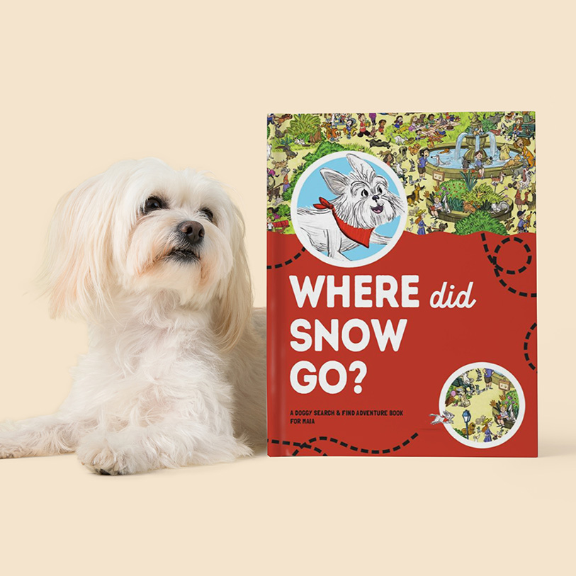 Where Did My Dog Go? Personalised Family Search-and-Find Book