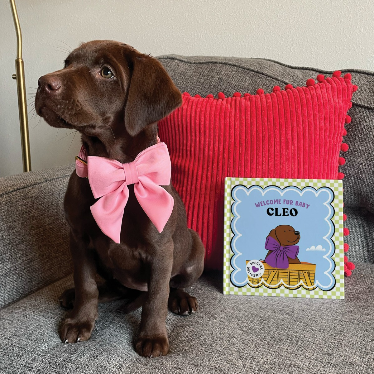 Welcome Fur Baby Personalised Dog Book