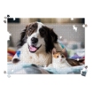 Personalized Pet Photo Puzzle, Landscape / Horizontal – 1000 Pieces