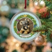 If My Dog Could Talk Personalized Book and Ornament Gift Set
