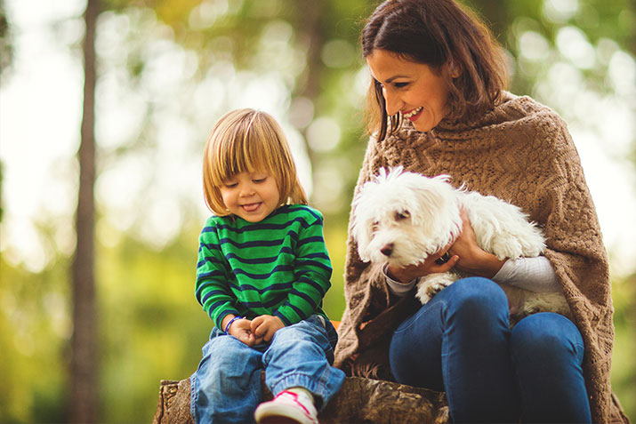 Ways to Help Your Toddler and Dog Bond - I See Me! Blog